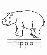 Hippo Color Coloring Kids Pdf sketch template