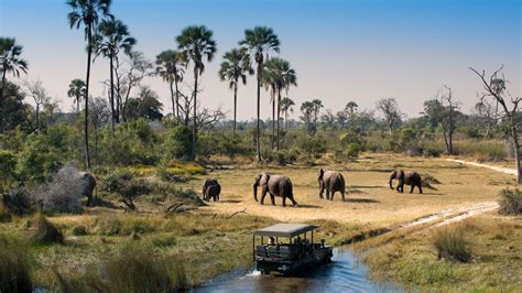 Botswana June To September Botswana Safari Okavango Delta Safari