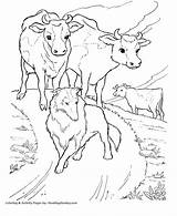Coloring Dairy Farm Popular sketch template