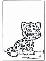 Coloring Cheetah Pages Baby Library Clipart Kleurplaat Tijger sketch template
