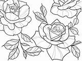 Rose Procreate Outline Shading Brushes Whip sketch template