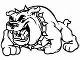 Bulldog Coloring Pages Scary Color Popular Template sketch template