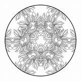 Coloring Pages Difficult Flower Mandala Adults Sunflower Mandalas Adult Color Printable Kids Cannas Print Gif Choose Board Procoloring sketch template