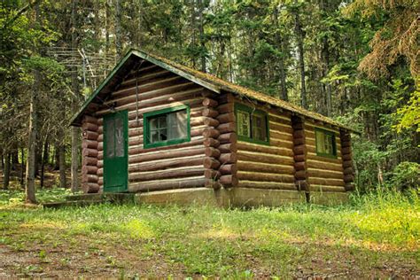 build   log cabin