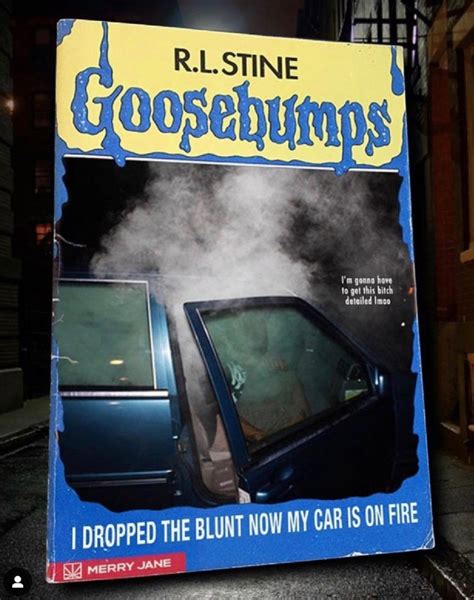 goosebumps i dropped the blunt now my car is on fire meme shut up