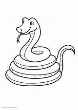 Coloring Pages Snakes Animal Print Books sketch template