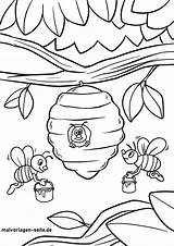 Biene Bienen Malvorlage Malvorlagen Ausmalen Kostenlos Anklicken Setzt öffnet Bildes Unser Durch Pollen Sammeln Insekten sketch template