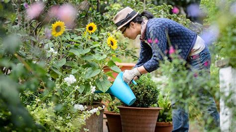 gardening horticulture training courses qualifications