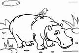 Hippo Coloring Pages Printable Kids Cool2bkids sketch template