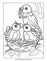 Coloring Spring Pages Printable Birds Nest Primarygames Kids Preschool Books Nests sketch template
