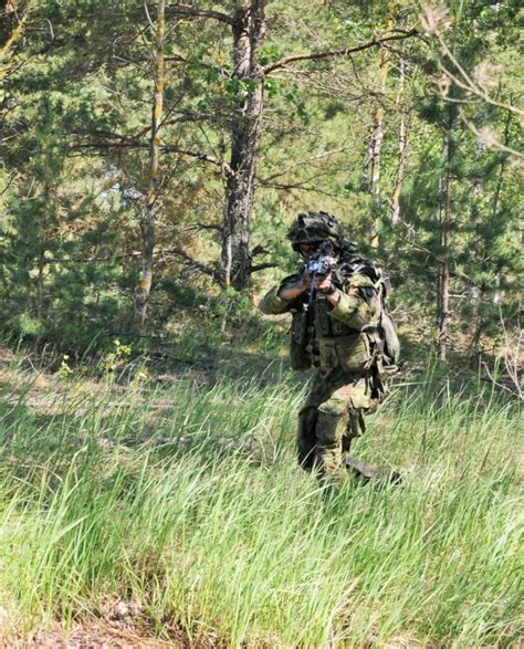 Saber Strike 2015 Multinational Ftx In Full Swing Article The