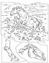Coloriage Chevaux Paarden Kleurplaat Wildpferde Cavalli Wilde Sauvages Malvorlage Caballos Selvatici Horses Imprimer Sauvage Ausmalbild Stampare Mustang Kleurplaten Ausdrucken Printen sketch template