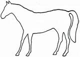 Horse Outline Outlines Animal Animals Printable Clip Clipart Coloring Drawing Body Arty Head Drawings Horses 13j Running Size Cliparts Pt sketch template