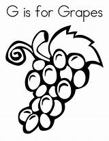 Grapes Grape Vines sketch template