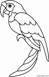 Parrot Coloring Easy sketch template