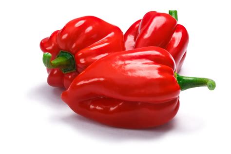 the 11 spiciest chile peppers on earth slideshow