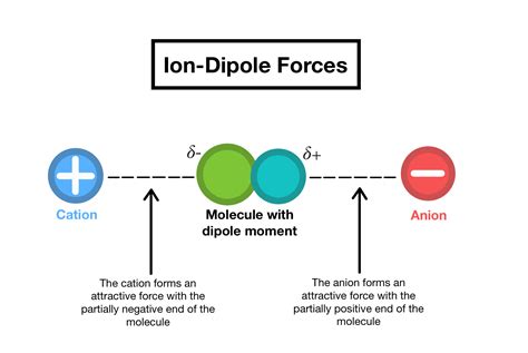 ion dipole forces definition overview expii