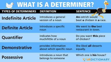 quantifiable definition meaning yourdictionary