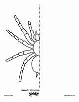 Symmetry Spider Coloring Pages Kids Spinne Insect sketch template