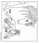 Paarden Kleurplaat Kleurplaten Coloring Choose Board Pages Horse sketch template
