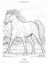 Coloring John Green Horses Book Wonderful Horse Books sketch template