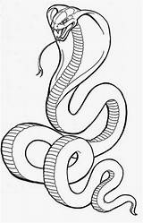 Cobra Cobras Serpents Serpent Schlangen Schlange Serpientes Outline Pesquisa Tatuagens Serpiente Sketches Malvorlagen Serpente Skorpion Snakes Colorarty Getdrawings Venom Coloringhome sketch template