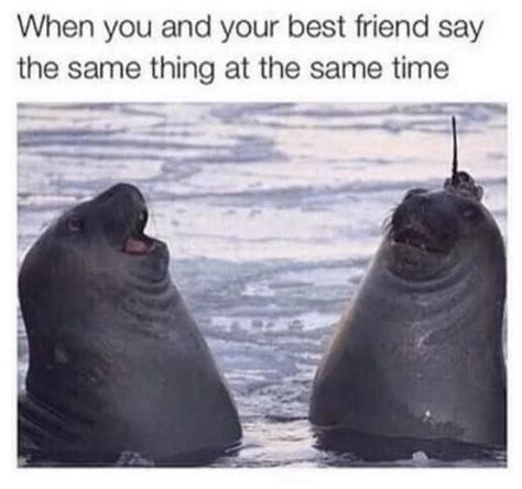 65 Best Funny Friend Memes To Celebrate Best Friends In