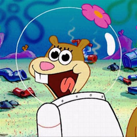 Sandy Cheeks Pictures Images Page 4