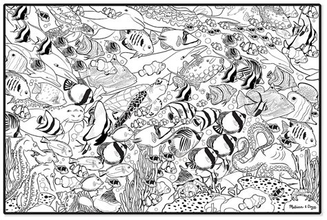 ocean life coloring pages    print