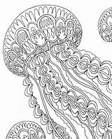 Jellyfish Zentangle sketch template