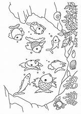 Ocean Coloring Pages Books sketch template