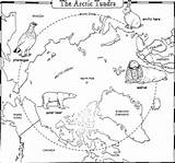 Tundra Arktis Artic Antarktis Coloring Scienze Habitats Geografie Arbeitsblätter Brooks Mrs Pole Arbeitsblatt Arktische Continents Pinguine Continent sketch template