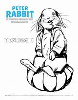Peter Rabbit Coloring Pages Benjamin Colouring Movie Bunny Beatrix Potter Kids Sheets Sheet Activity Screening Visit Fun sketch template
