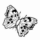 Butterfly Coloring Pages Surfnetkids Disney Next sketch template