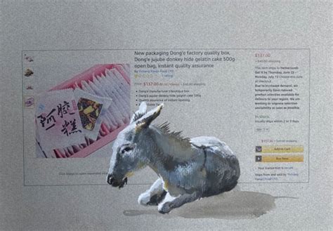 donkey hide gelatin   philine van der vegte artwork archive