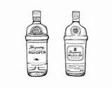 Tanqueray Behance Gin sketch template