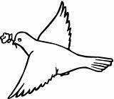 Pigeon Palomas Pidgeons Paloma Coloriages Gratuits Pigeons Designlooter sketch template