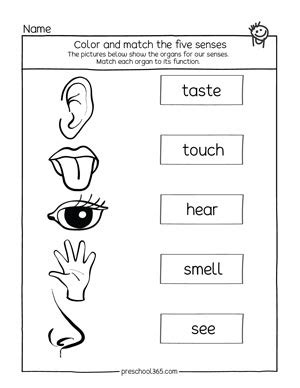 preschool  senses coloring pages