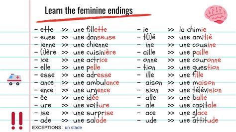 4 Hacks To Visually Identify The Gender Of French Words
