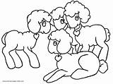 Coloring Precious Moments Pages Sheep Tablero Seleccionar Sheeps Animal Cute Colorear Para sketch template