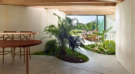 create  stunning indoor garden  small spaces expert tips