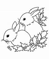Clipartqueen Bunnies sketch template