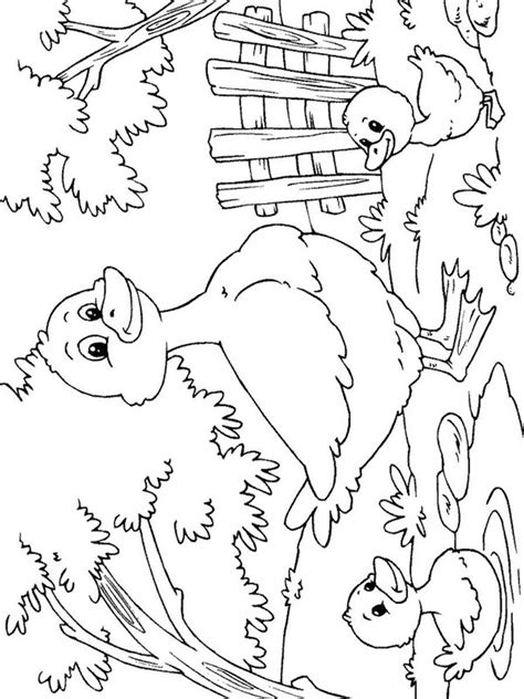 ducklings  mother duck coloring page funny coloring pages