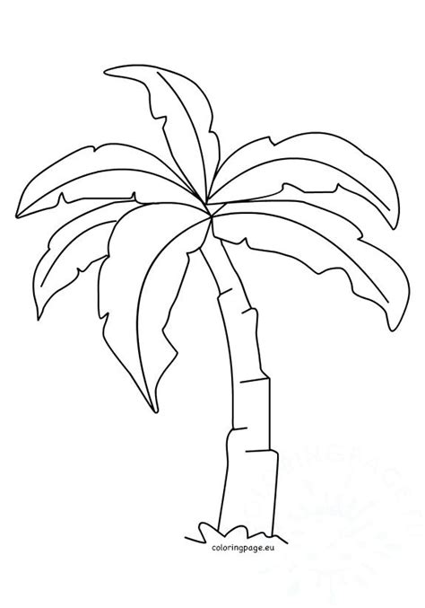 palm tree leaves template
