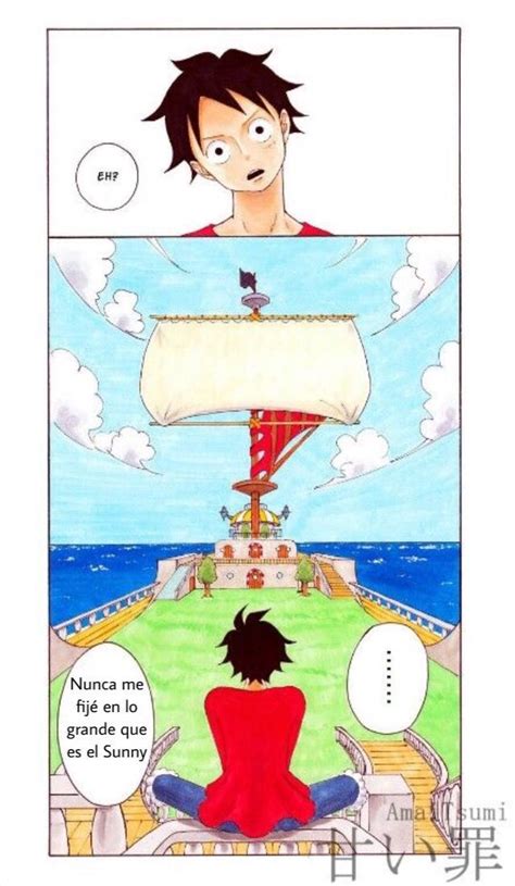 Imágenes Y Memes De One Piece Escondidas En 2020 Meme De One Piece