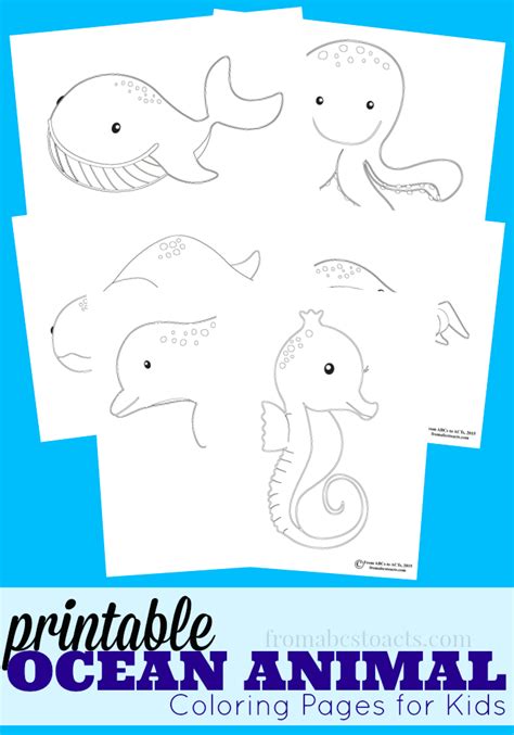 ocean animal coloring pages animal coloring pages coloring pages