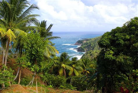 Why Dominica Island Is The Perfect Cheap Caribbean Vacation Paradise