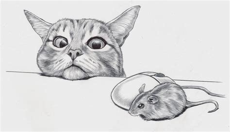 dibujos de gatos  lapiz solo  amantes de los gatitos