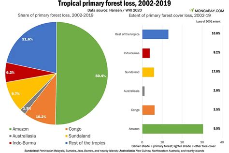 top   tropical rainforest   large population  animals lestwinsonlinecom