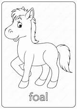 Foal Coloringoo sketch template